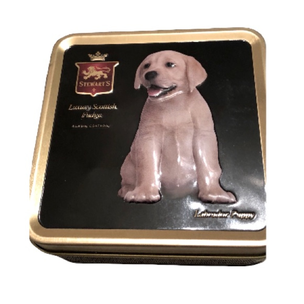 🟦SALE 5️⃣0️⃣% off🟦 
Vintage tin dog- Labrador Retriever like new